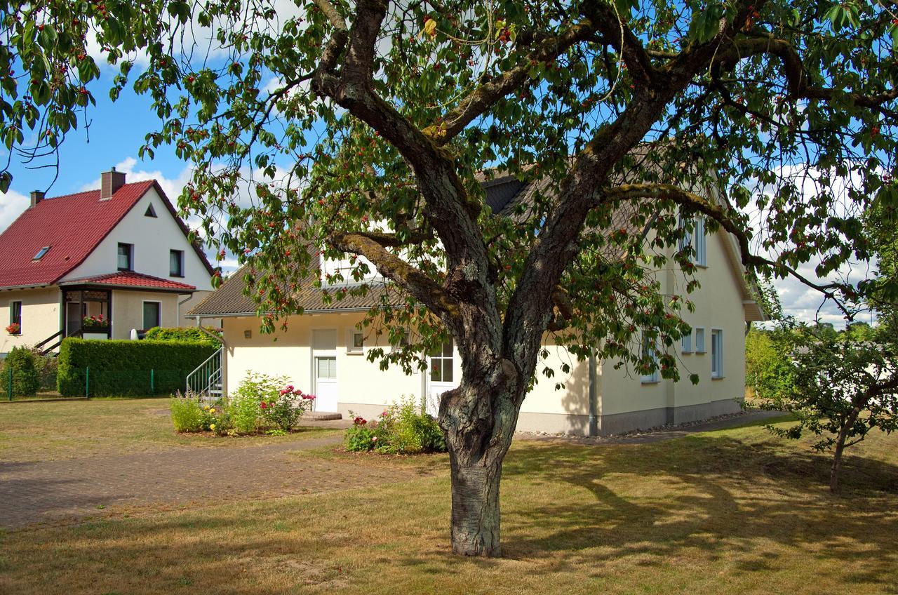 Ferienwohnung Sonnenhus - Rügen Sellin  Exterior foto