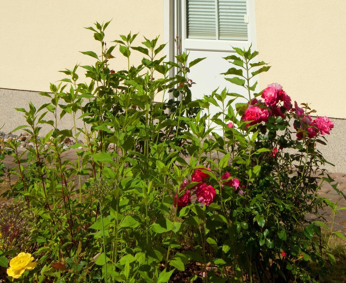 Ferienwohnung Sonnenhus - Rügen Sellin  Exterior foto